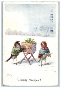 New Year Anthropomorphic Birds Box Mistletoe Amsterdam Netherland Postcard