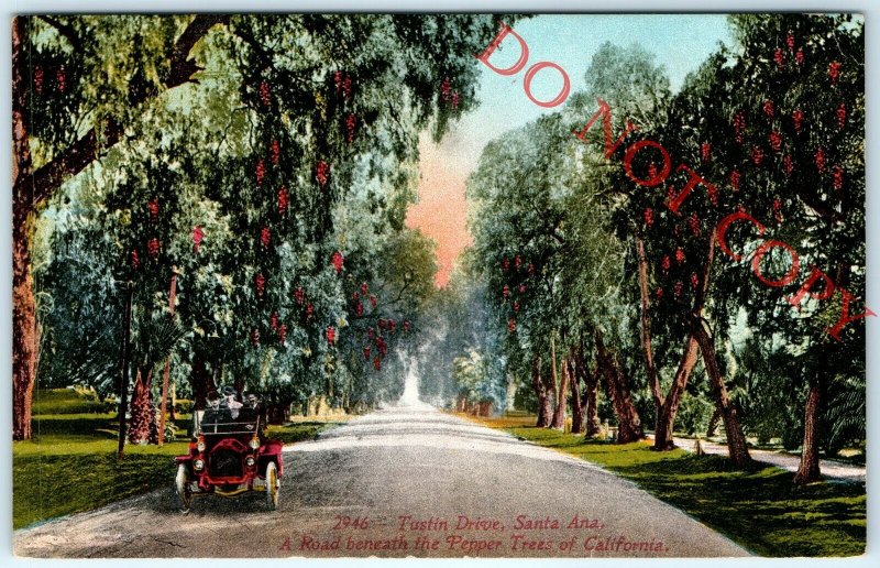 c1910s Santa Ana, Cal. Tustin Drive Early Automobile Postcard Pepper Trees A24