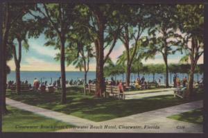 Clearwater Beach From Hotel Clearwater FL Postcard 