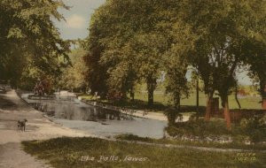 Sussex Postcard - The Pells, Lewes   RS21908