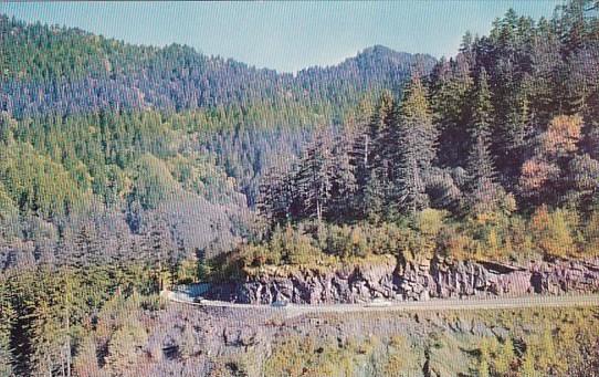 Picturesque Mountain Highway From Gatlinburg Tennessee