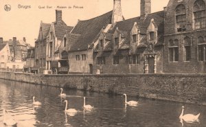 Vintage Postcard 1910's Bruges Quai Vert Maison Du Pelican Bruges, Belgium