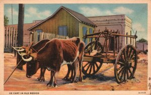 Vintage Postcard 1930's OX Cart in Old Mexico Pub. Curt Teich & Co.