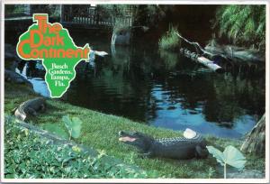 Busch Gardens, The Dark Continent - Alligators, Tampa, Florida