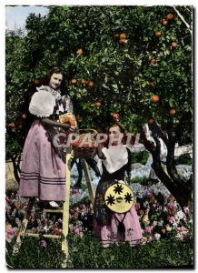 Postcard Modern Cote D & # 39Azur Picking oranges by girls in folk costume Fo...