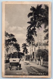 Port of Spain Trinidad and Tobago B.W.I. Postcard Royal Palms 1930 Vintage