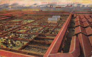 Chicago Illinois~Union Stock Yards Bird's Eye View~Cattle in Corrals~c1910 Pc