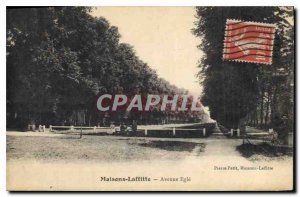 Old Postcard Maisons Laffitte Avenue Egle