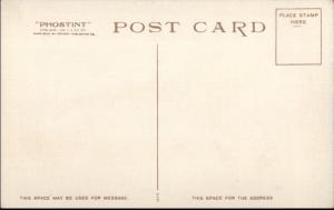 Daily River Processions Steamerships c1910 Detroit Publishing Postcard