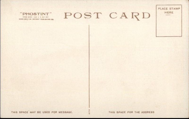 Daily River Processions Steamerships c1910 Detroit Publishing Postcard