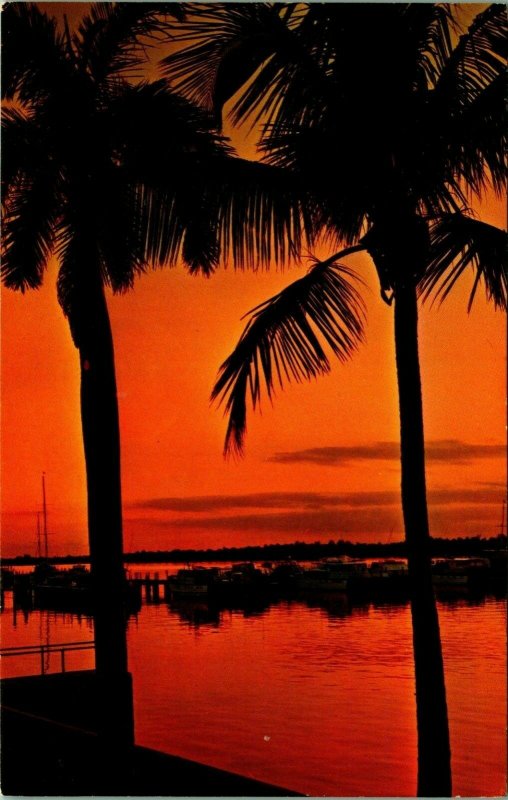 Tropical Sunset In Florida FL 1969 Chrome Postcard