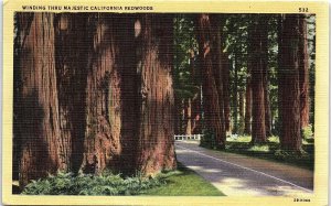 1930s CALIFORNIA WINDING THRU MAJESTIC CALIFORNIA REDWOODS LINEN POSTCARD 42-192