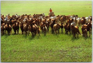 VINTAGE CHINA ILLUSTRATED MAXIMUM POSTCARD INNER MONGOLIA STURDY HERDS AHEAD