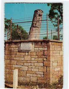 Postcard Explorers Tree Blue Mountains Katoomba Australia