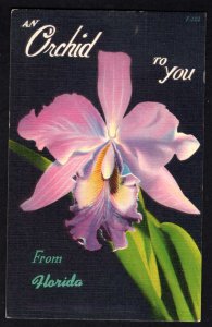 Florida An Orchid To You pm1954 - Linen