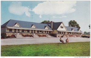 Exterior,  Sportmen's Motel,  Welland,  Jct.,  Niagara Falls,  Ontario,  Cana...