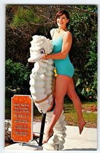 Weeki Wachee Florida Postcard Swimsuit Mermaid With Bubbles Seahorse Chrome