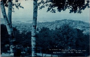 Japan City From The Otaru Park Otaru Vintage Postcard C134