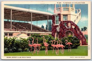 Vtg Miami FL Flamingos Hialeah Park Jockey Club Race Track 1930s View Postcard
