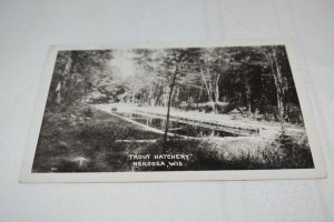 Trout Hatchery Nekoosa Wisconsin Postcard