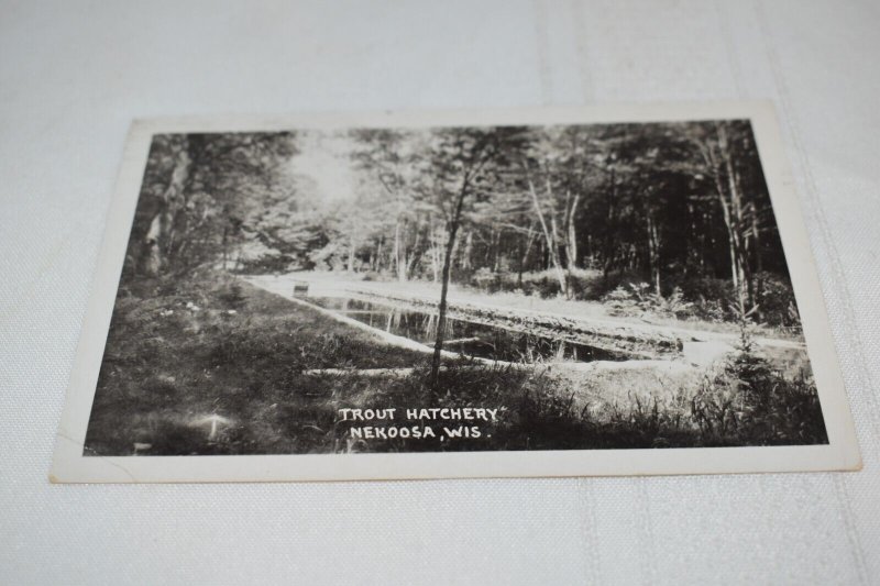 Trout Hatchery Nekoosa Wisconsin Postcard