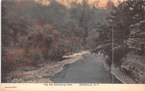 Old Swimming Hole Dansville, New York  