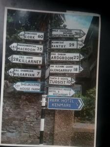 Postcard Real Photo Cities of Ireland    Z4