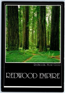 Postcard - Redwoods Stout Grove, Redwood Empire - California