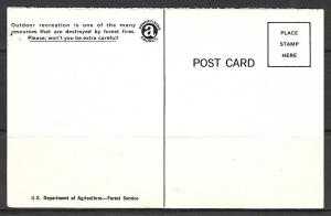 Only You Can Prevent Forest Fires - (MX-072)