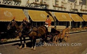 Private Carriage - Mackinac Island, Michigan MI  