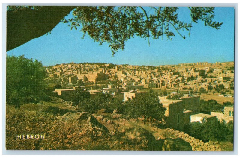 c1960's General View Houses at Hebron Palestine Unposted Vintage Postcard