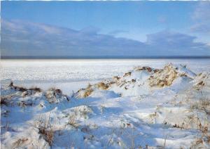 BG10080 winter in den dunen  die schone nordsee insel sylt germany