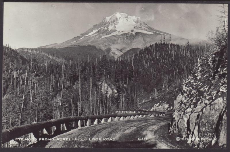 Mt Hood From Laurel Hill,Loop Road,OR Postcard