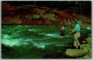 Fishing in Streams of Catskill Mountains New York NY UNP Chrome Postcard I14