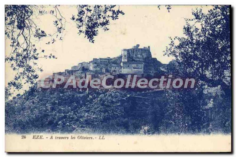 Old Postcard Eze Through the Olive Trees
