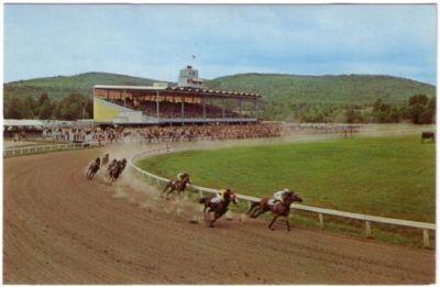 Berkshire Downs Horse Racing Race Track 1960s Postcard