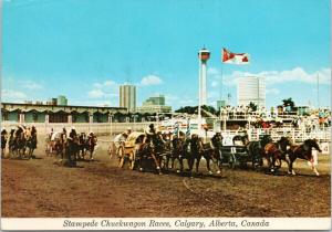 Stampede Chuckwagon Races Calgary Alberta AB Chucks c1973 Postcard D56