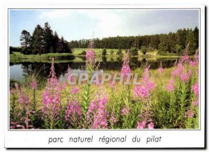 Postcard Modern Natural Regional Park of Pilat