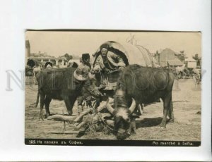 3173309 BULGARIA SOFIA market carriage Vintage photo postcard