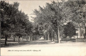 Main St. looking west 16th St. Quincy Ill BW WOB Antique DB Postcard WOB Road 