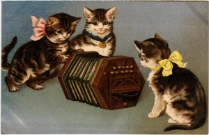 PC CATS, THREE CATS WITH BOWTIES AND HARMONICA, Vintage Postcard (b46628)