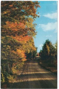 Shady Autumn Road, Muskoka, Ontario, Canada, Vintage 1960 Chrome Postcard