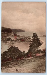 TEIGNMOUTH from the Torquay Road Hand Tinted ENGLAND UK Postcard