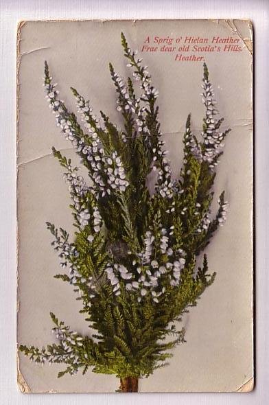 Bunch of Heather, Name Series, Used England 1910