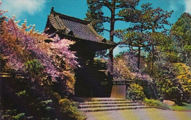 California San Francisco Oriental Tea Garden Golden Gate Park