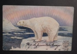 Mint Wales Goodyear Shoe Co Postcard Polar Bear Ice Addressed Illinois USA