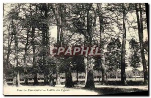 Old Postcard Park Rambouillet L & # 39Allee cypresses