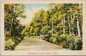 Greetings from Omro Wisconsin WI c1943 NYCE Postcard G44