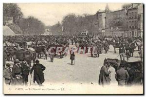 Old Postcard Horse Riding Equestrian Caen Le Marche horses