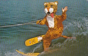 Florida Cypress Gardens Timmy The Tiger Water Skiing